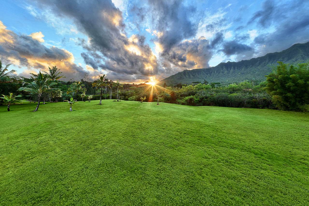 https://bt-photos.global.ssl.fastly.net/hawaii/1280_boomver_2_719312-1.jpg