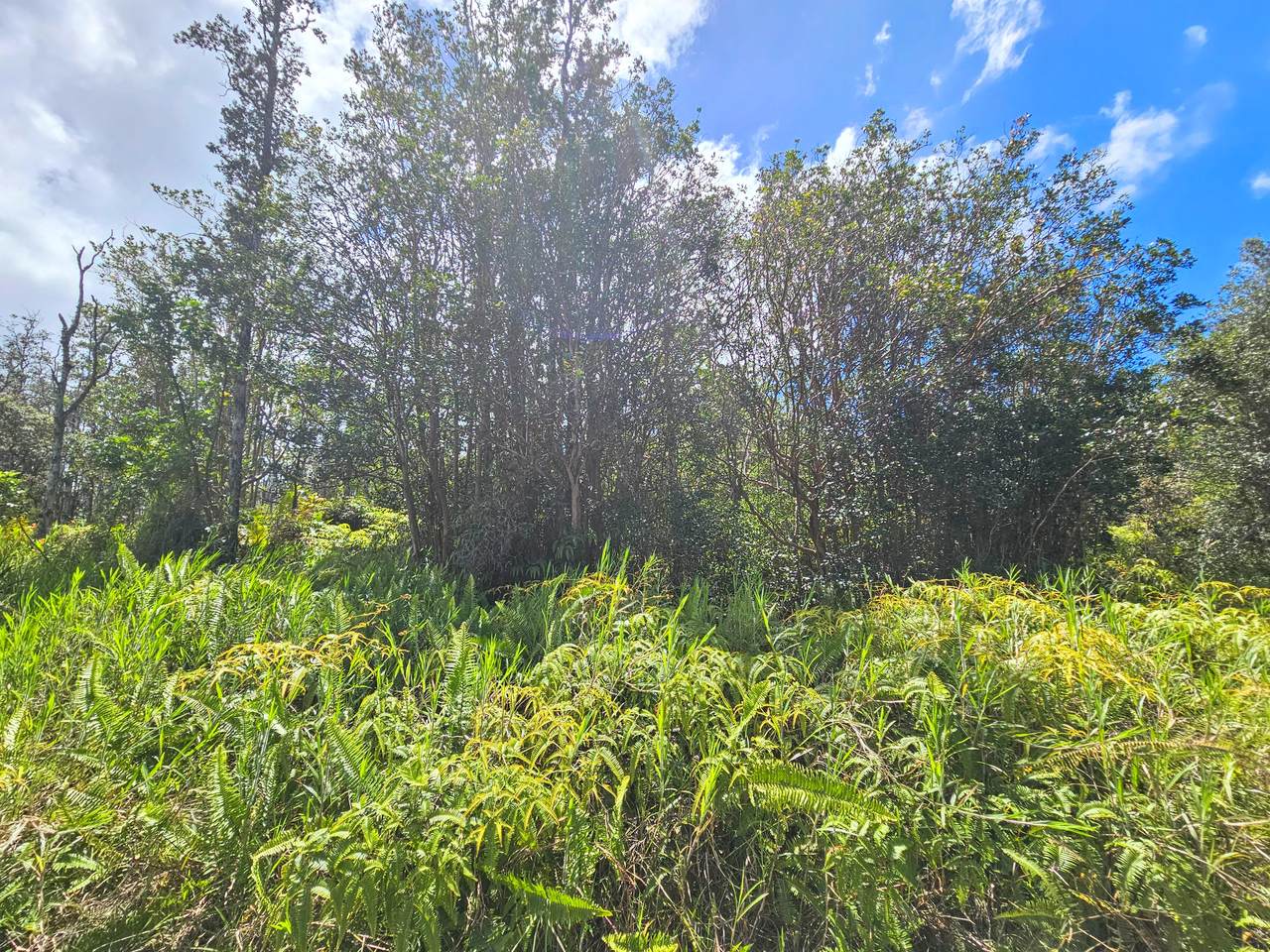 https://bt-photos.global.ssl.fastly.net/hawaii/1280_boomver_2_719501-1.jpg