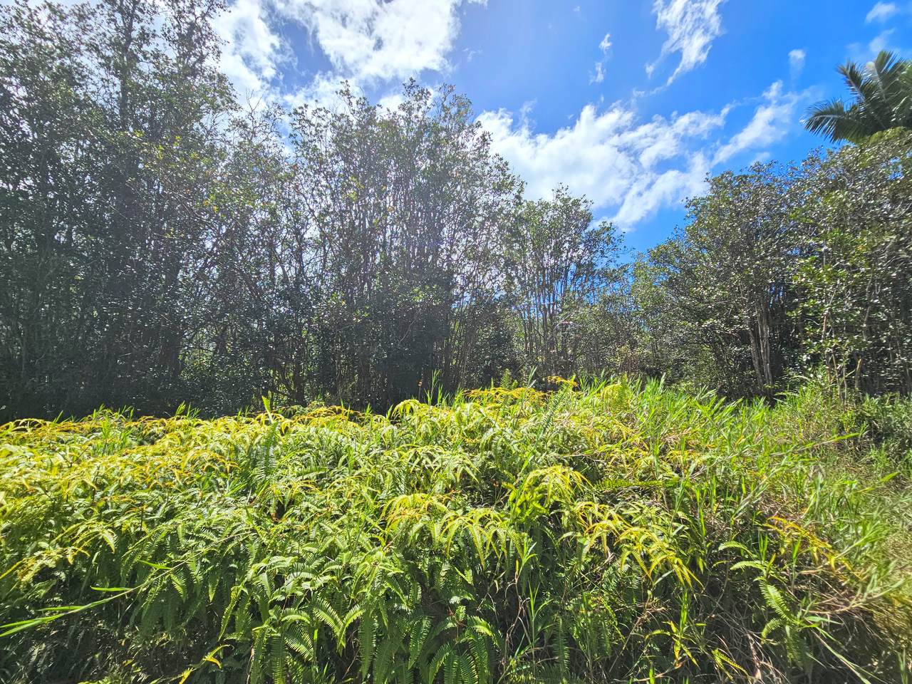 https://bt-photos.global.ssl.fastly.net/hawaii/1280_boomver_2_719501-1.jpg
