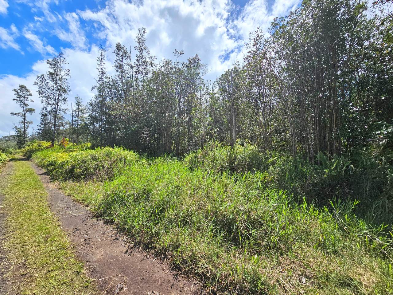 https://bt-photos.global.ssl.fastly.net/hawaii/1280_boomver_2_719501-1.jpg