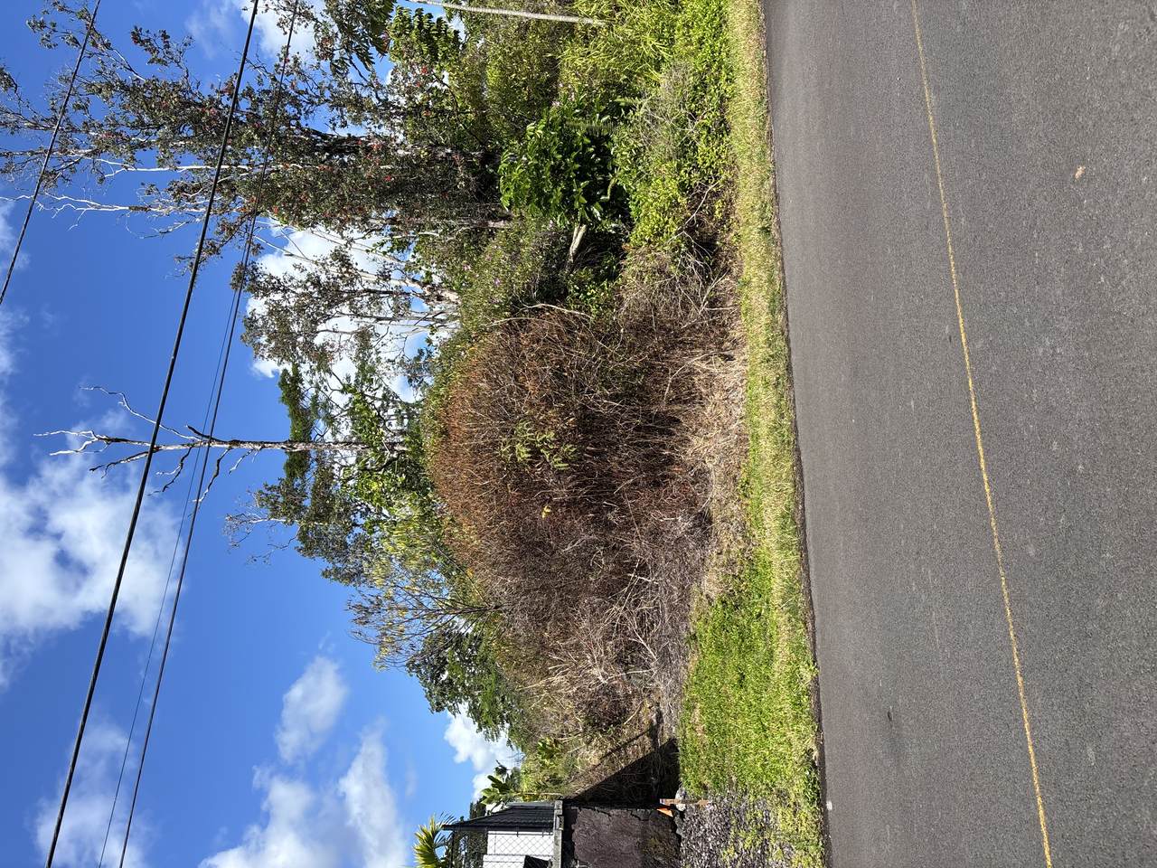  Lehua Dr - Photo 1
