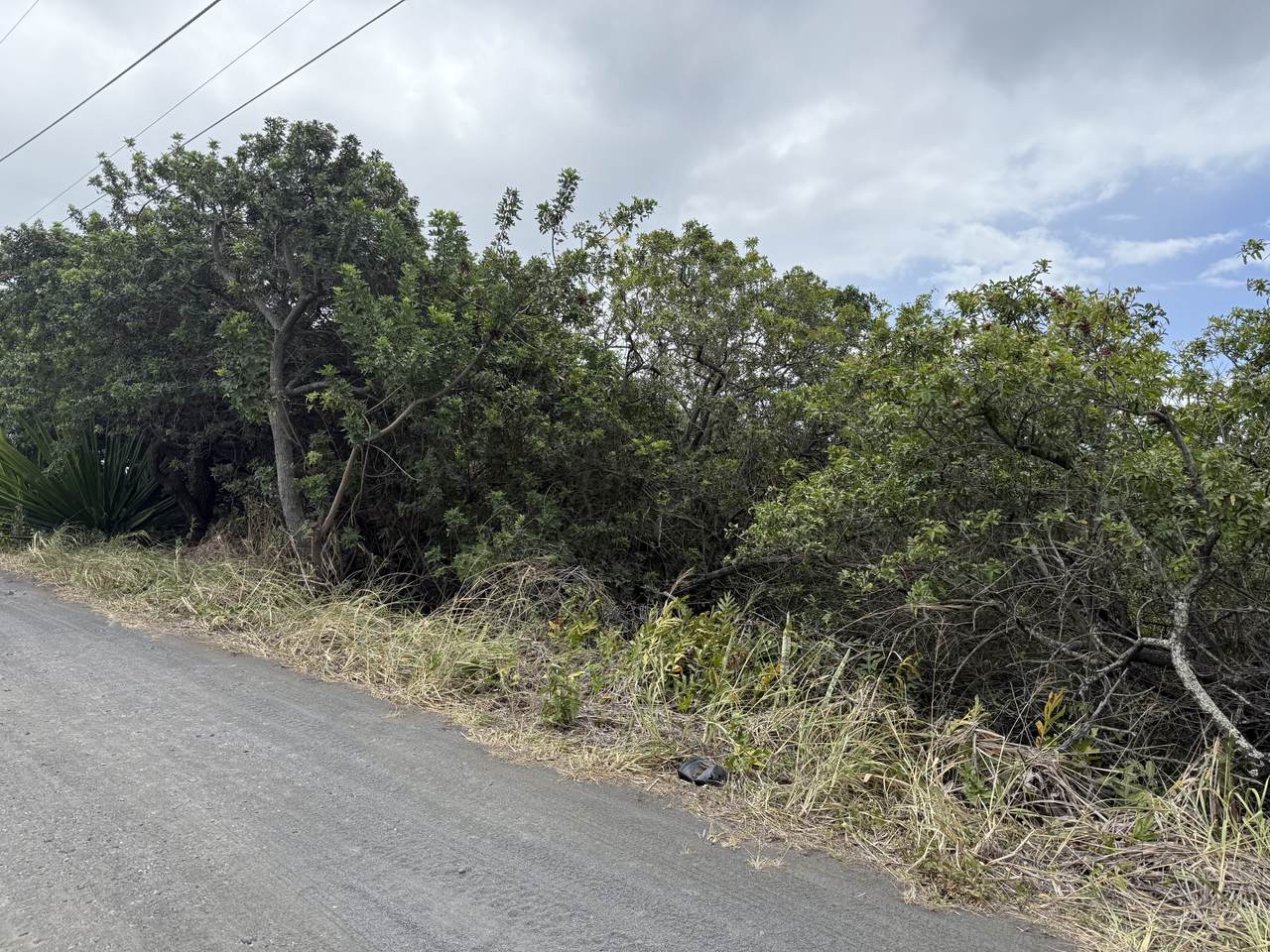 https://bt-photos.global.ssl.fastly.net/hawaii/1280_boomver_1_720640-2.jpg