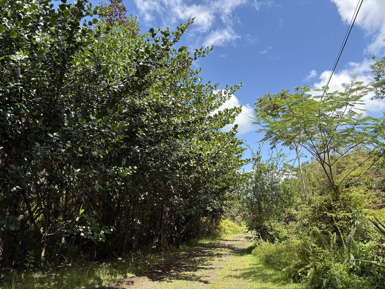 16-1432 Poouli Rd - Photo 1