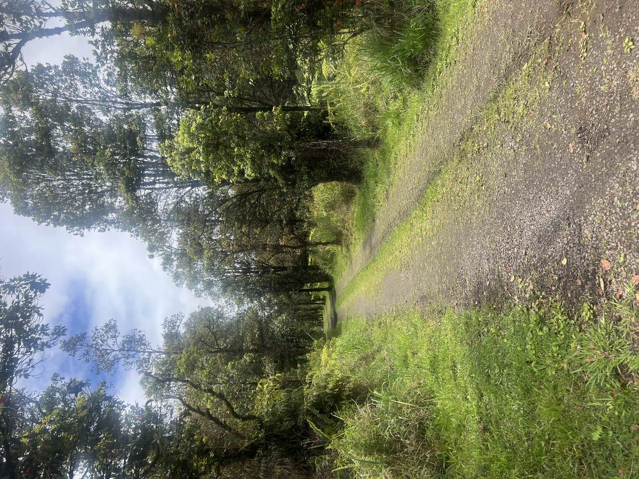 44 Road 11 - Photo 1