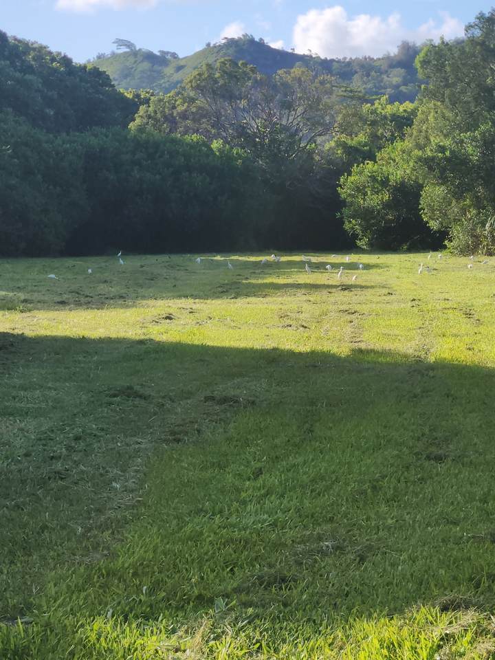 6346 Kawaihau Rd - Photo 1