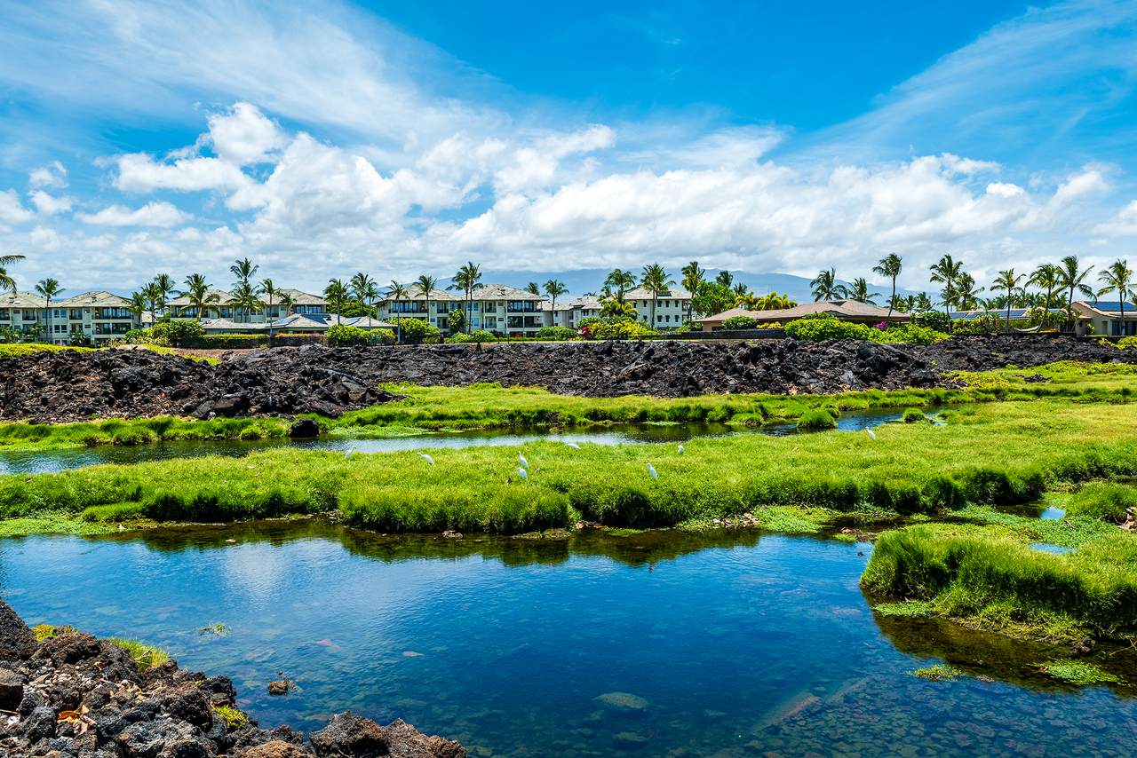 https://bt-photos.global.ssl.fastly.net/hawaii/1280_boomver_2_723055-2.jpg