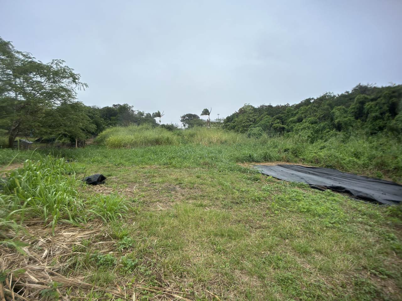 94-6487 Kekuhaupio Rd - Photo 1