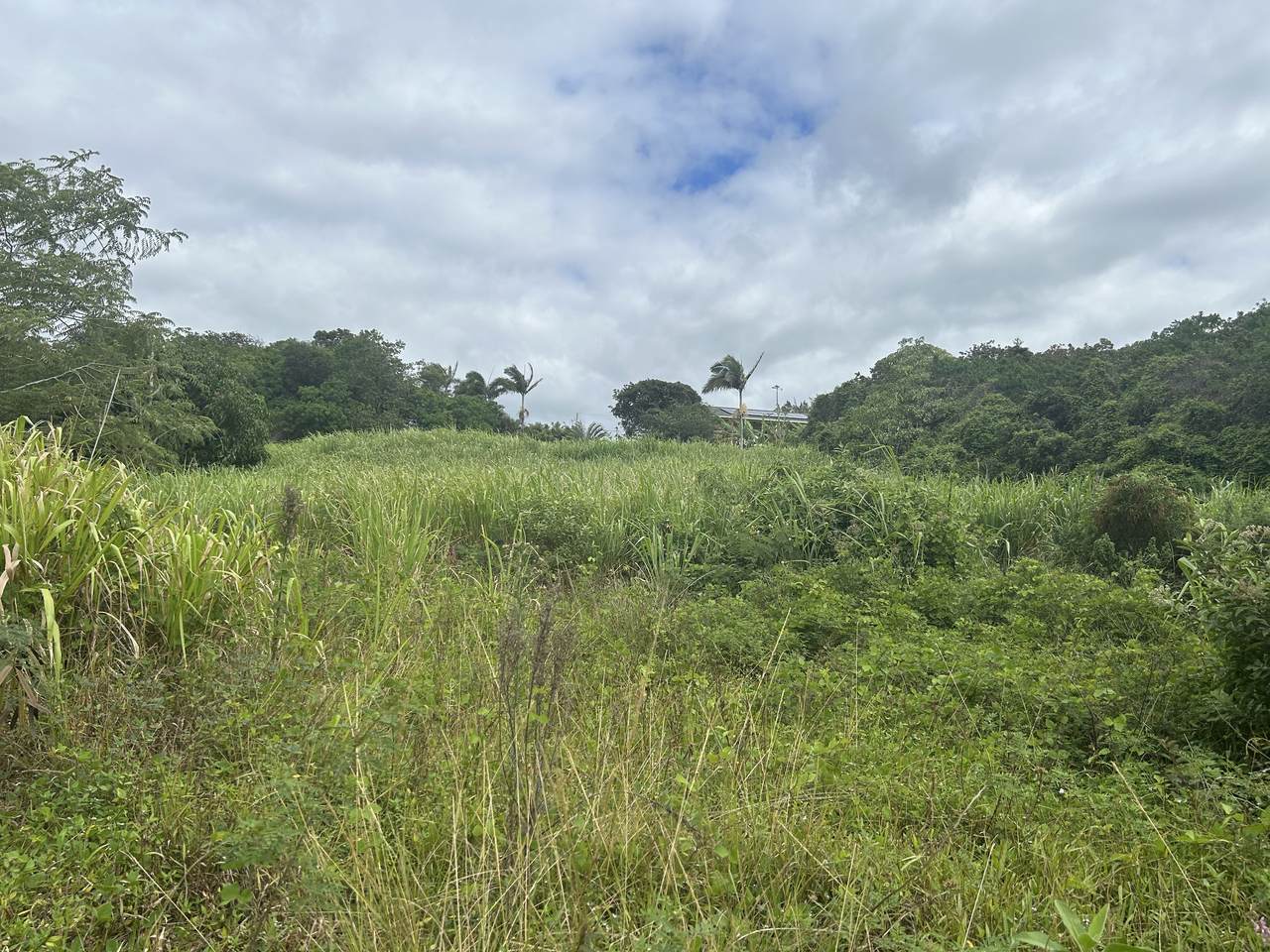 https://bt-photos.global.ssl.fastly.net/hawaii/1280_boomver_2_724490-1.jpg