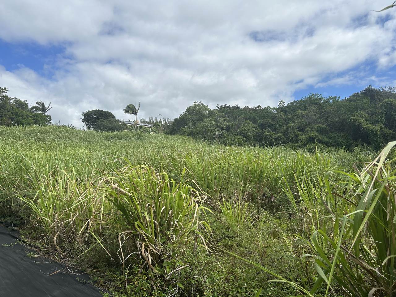 https://bt-photos.global.ssl.fastly.net/hawaii/1280_boomver_2_724490-1.jpg