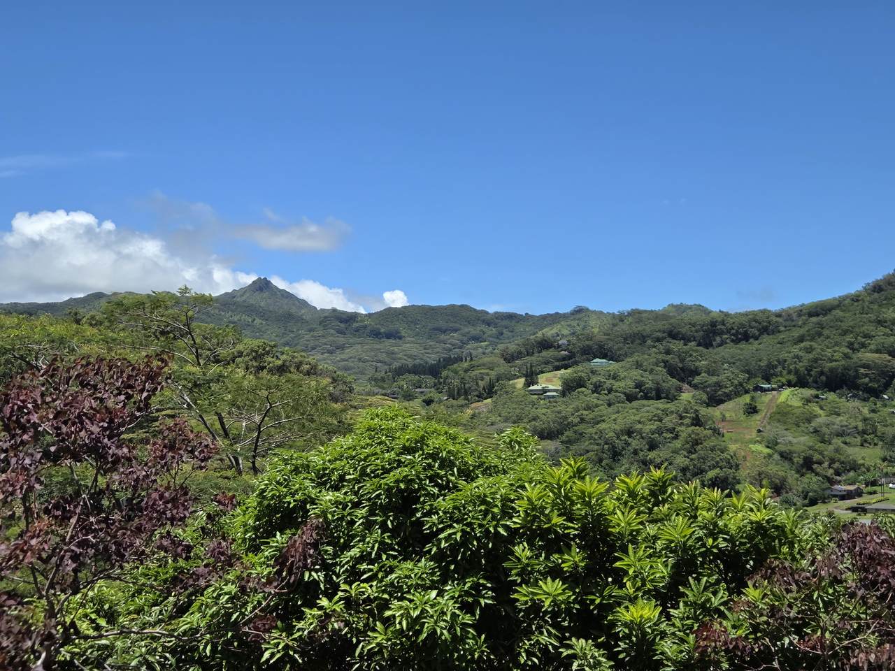 https://bt-photos.global.ssl.fastly.net/hawaii/1280_boomver_2_724703-1.jpg