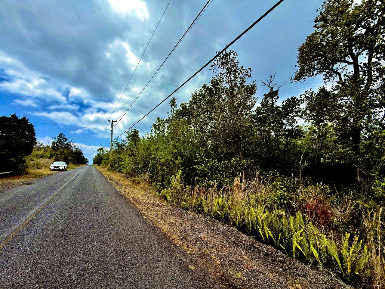  Leilani Pkwy - Photo 1