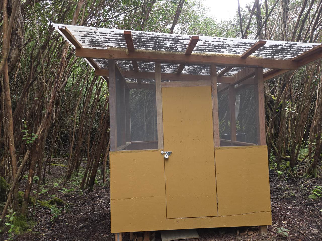 1 Lanai St - Photo 1