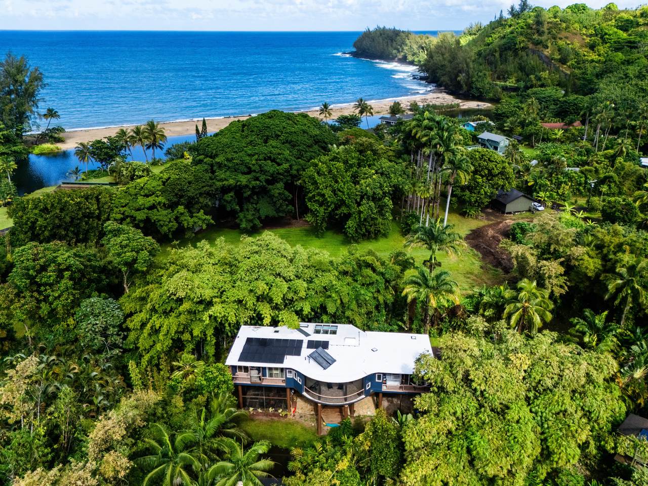 4558-A Ananalu Rd - Photo 1