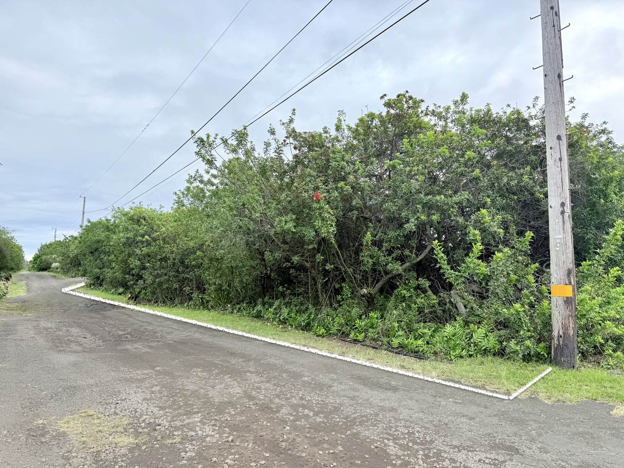  Makaniakua Rd - Photo 1