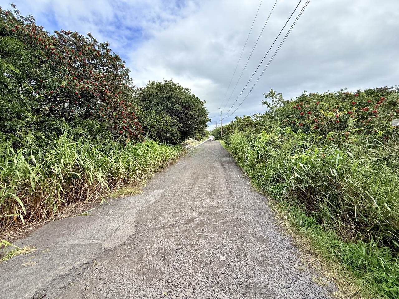 https://bt-photos.global.ssl.fastly.net/hawaii/1280_boomver_2_725763-3.jpg