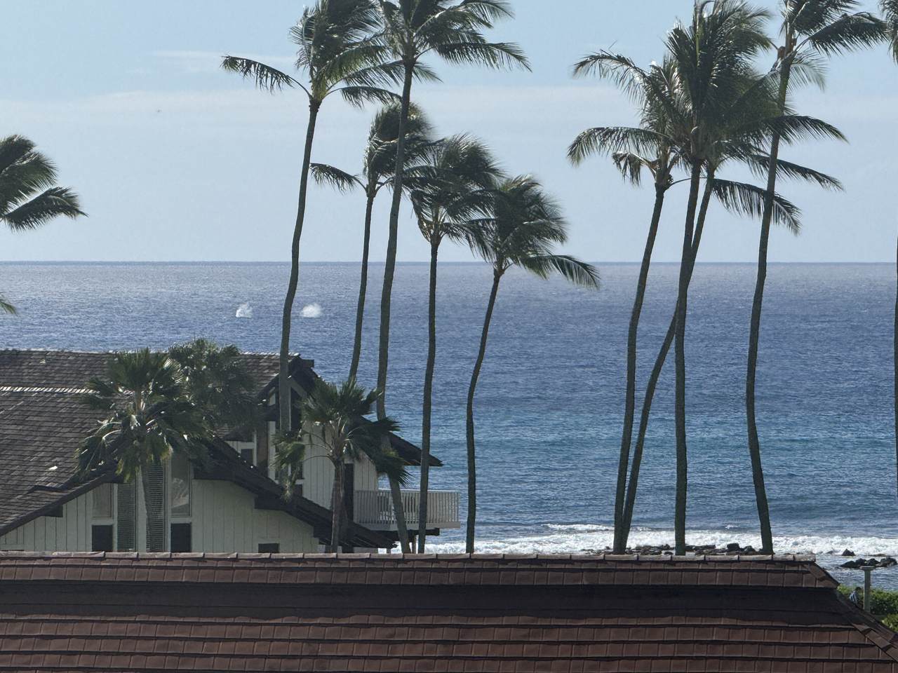 2253 Poipu Rd - Photo 1