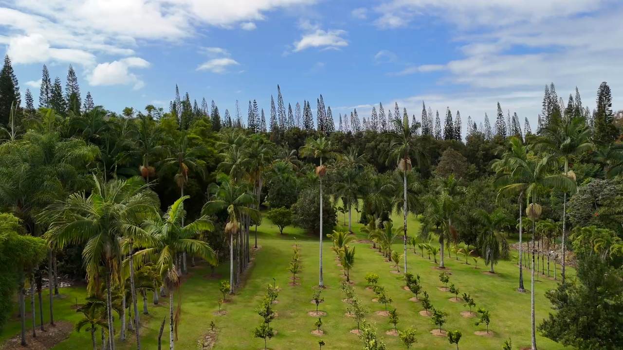 29-3707 Kanna Road - Photo 1