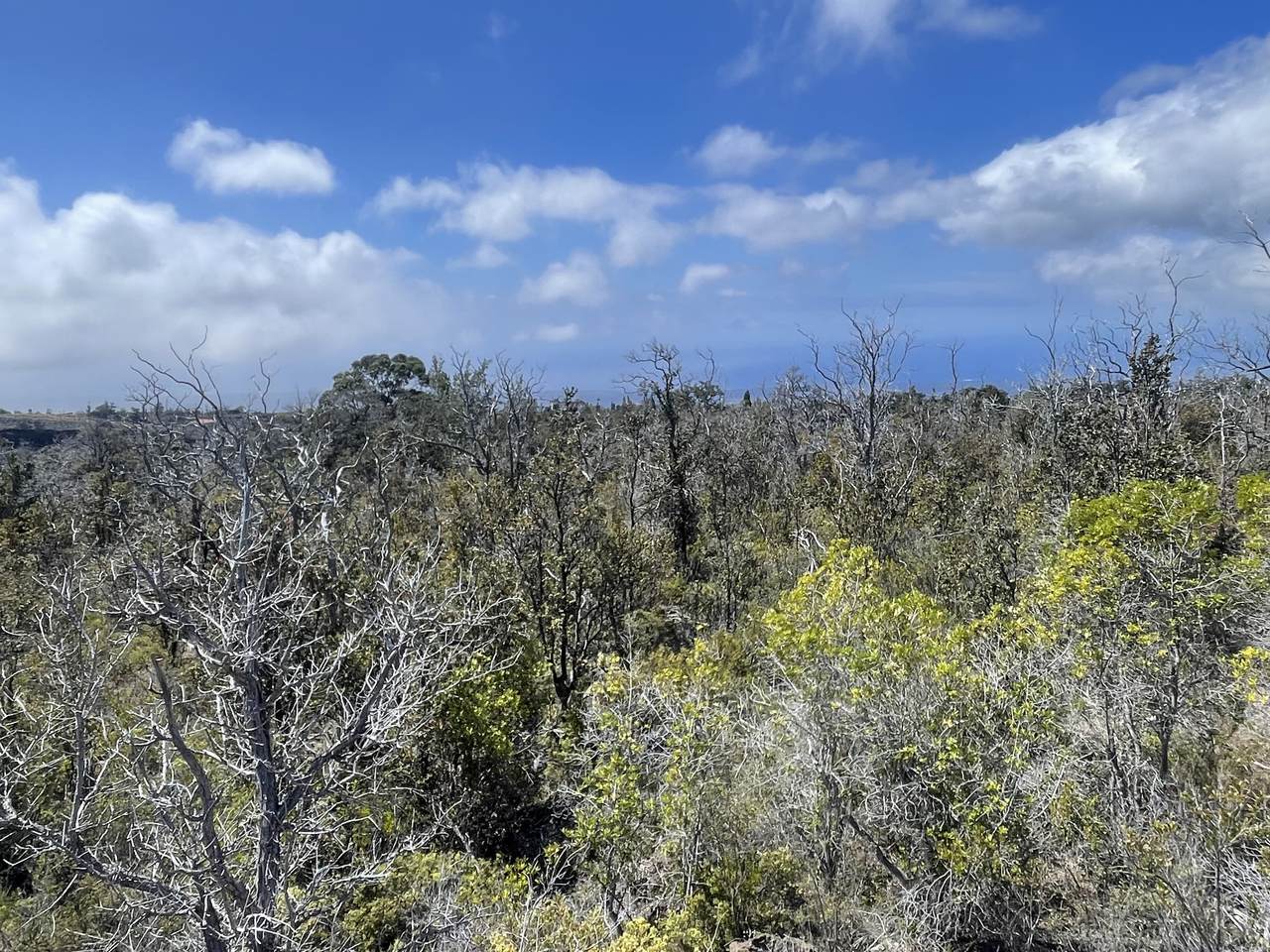  Hukilau Dr - Photo 1