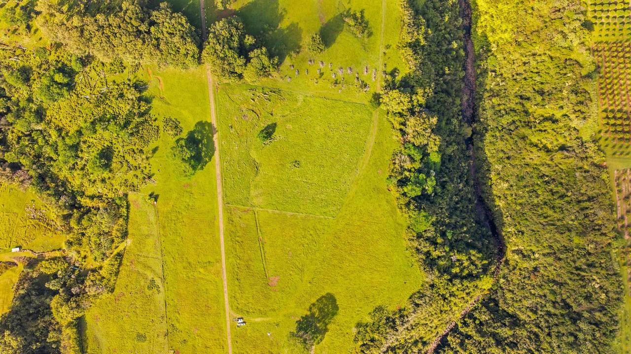  Kaiwiki Homestead Rd - Photo 1