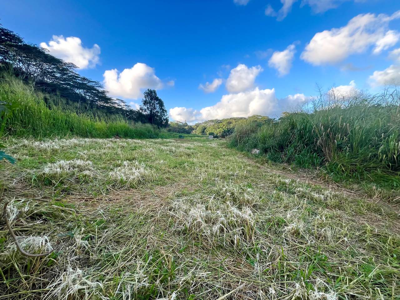 https://bt-photos.global.ssl.fastly.net/hawaii/1280_boomver_2_727173-2.jpg