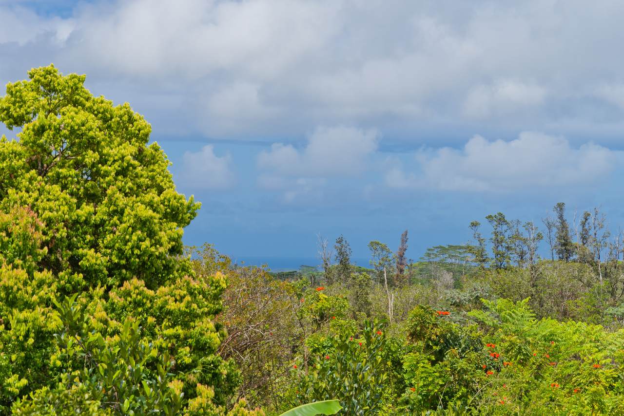 https://bt-photos.global.ssl.fastly.net/hawaii/1280_boomver_2_727452-1.jpg
