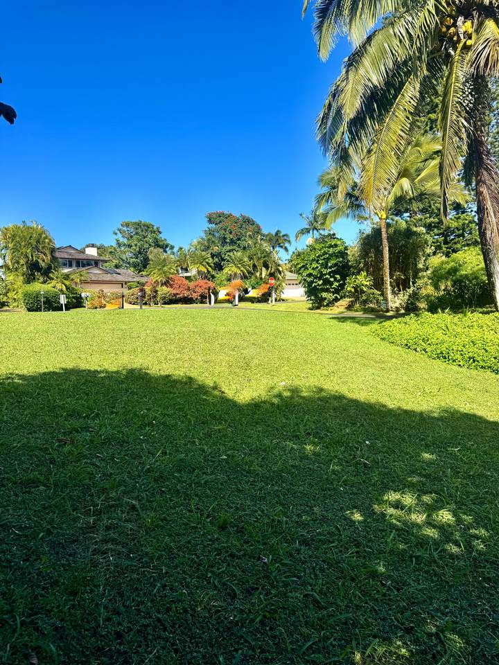 5339 Honoiki Rd - Photo 1