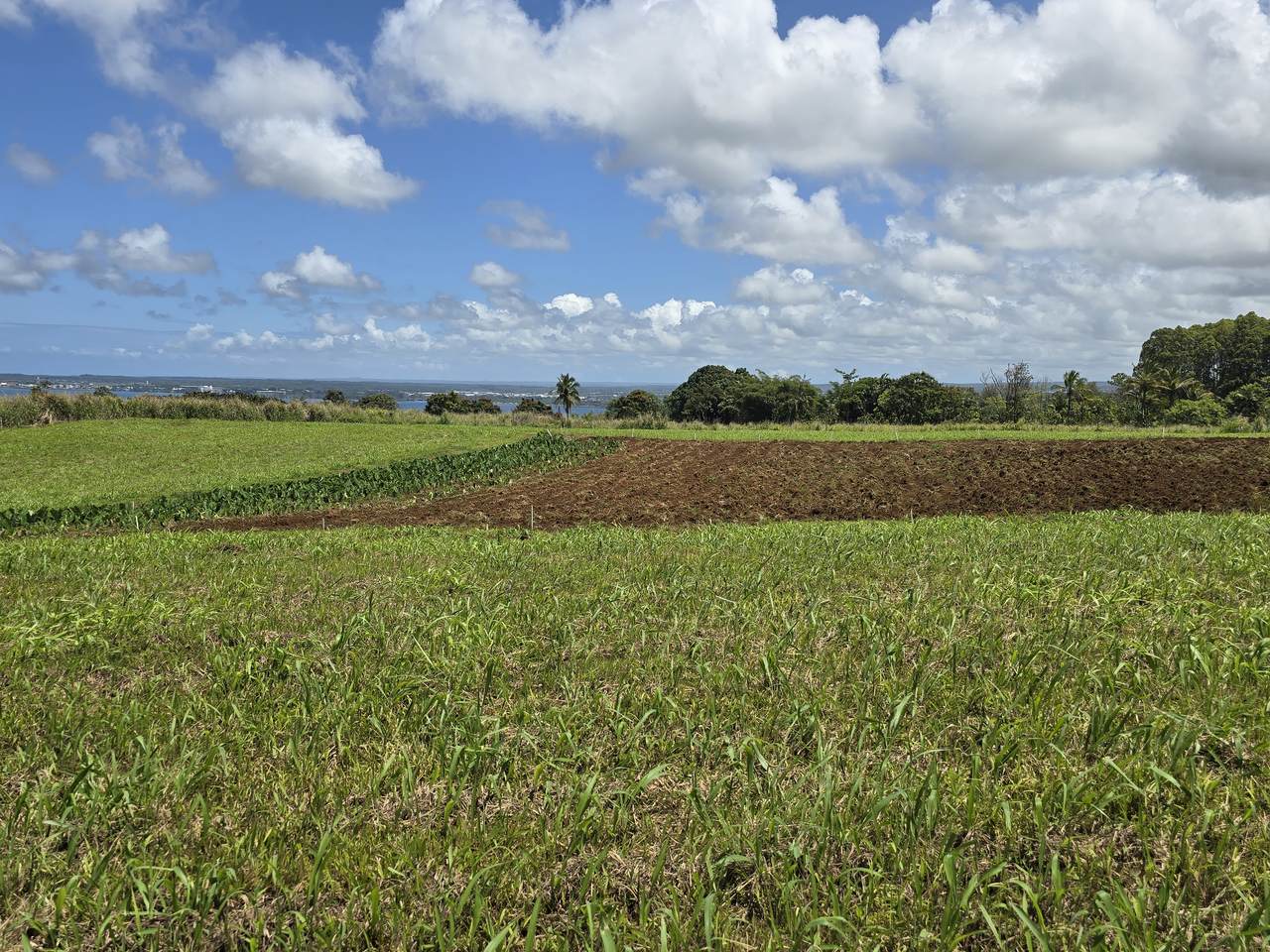  Puia Road - Photo 1
