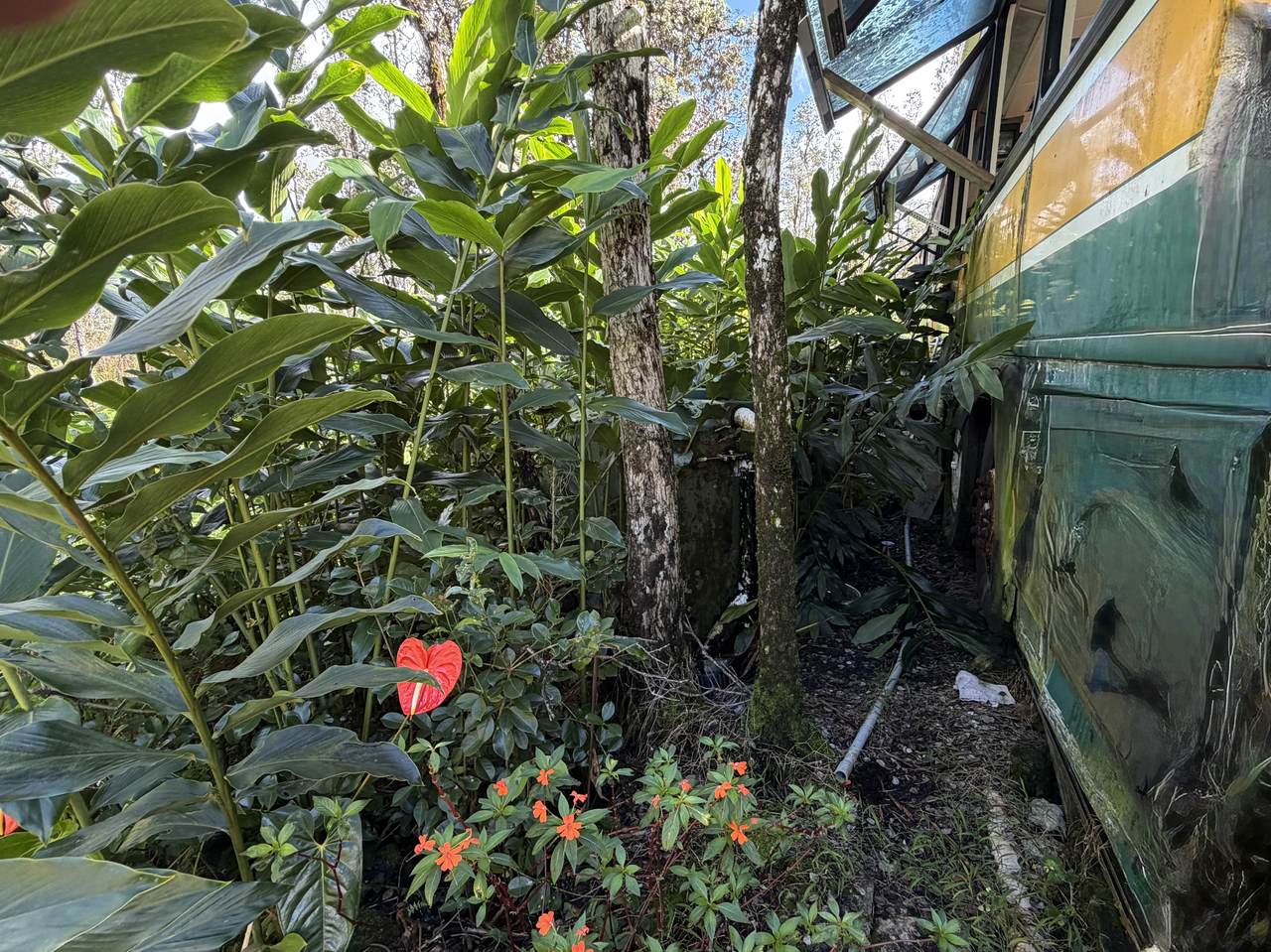 https://bt-photos.global.ssl.fastly.net/hawaii/1280_boomver_3_728097-1.jpg