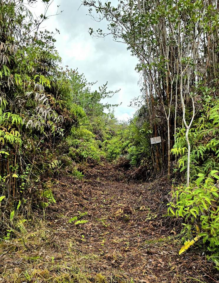 https://bt-photos.global.ssl.fastly.net/hawaii/1280_boomver_1_728668-1.jpg