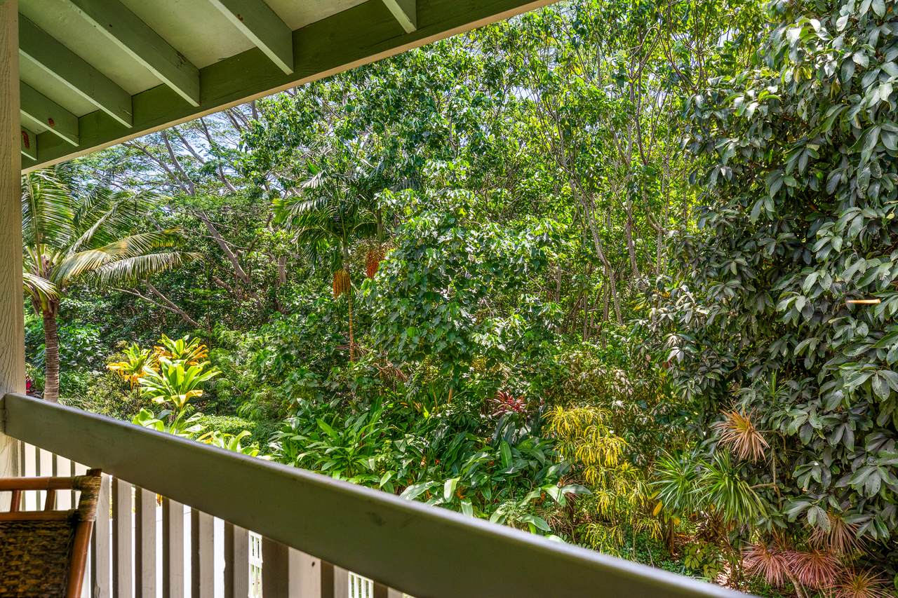 2080 Manawalea St - Photo 1