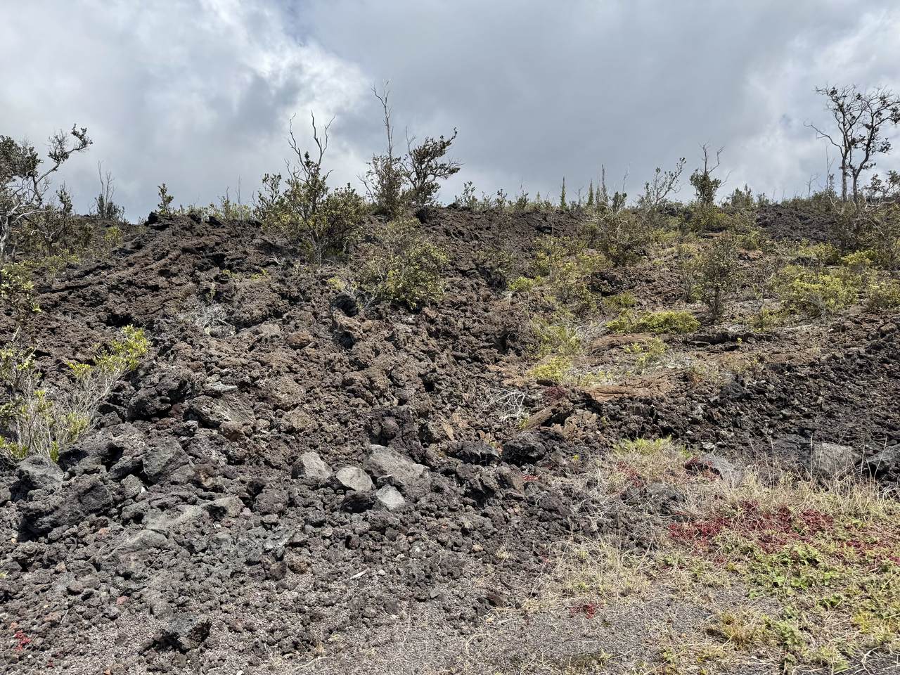https://bt-photos.global.ssl.fastly.net/hawaii/1280_boomver_2_729270-2.jpg
