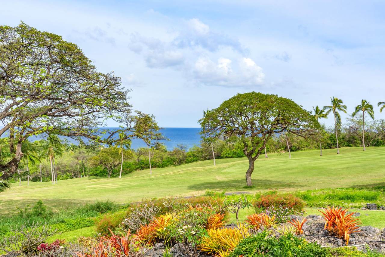 https://bt-photos.global.ssl.fastly.net/hawaii/1280_boomver_2_729445-1.jpg