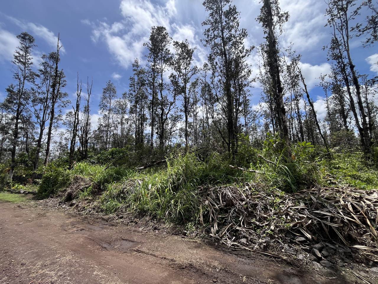 https://bt-photos.global.ssl.fastly.net/hawaii/1280_boomver_2_729651-1.jpg