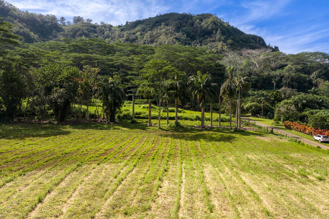  Kamalu Rd - Photo 1