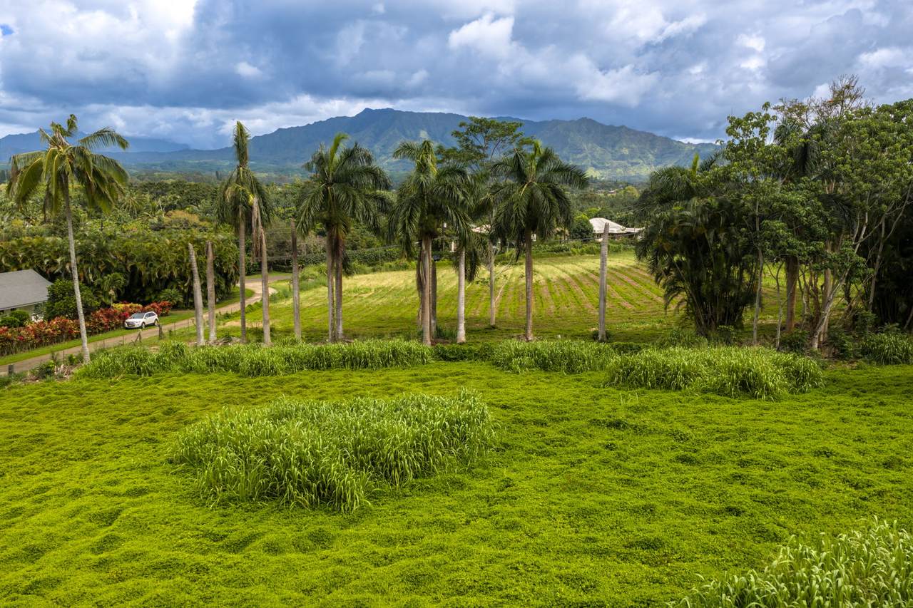 https://bt-photos.global.ssl.fastly.net/hawaii/1280_boomver_2_729741-1.jpg