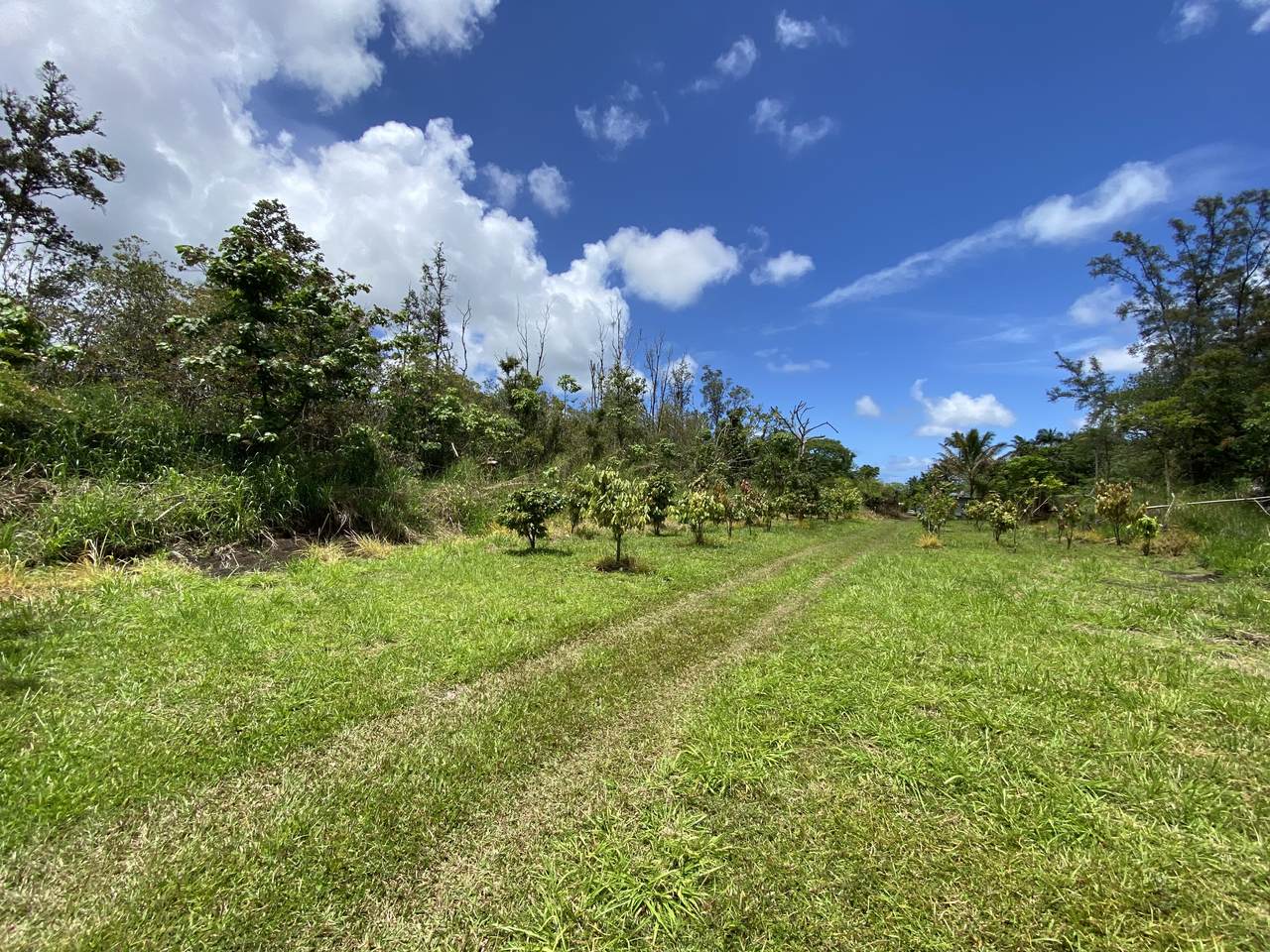 https://bt-photos.global.ssl.fastly.net/hawaii/1280_boomver_2_729924-1.jpg
