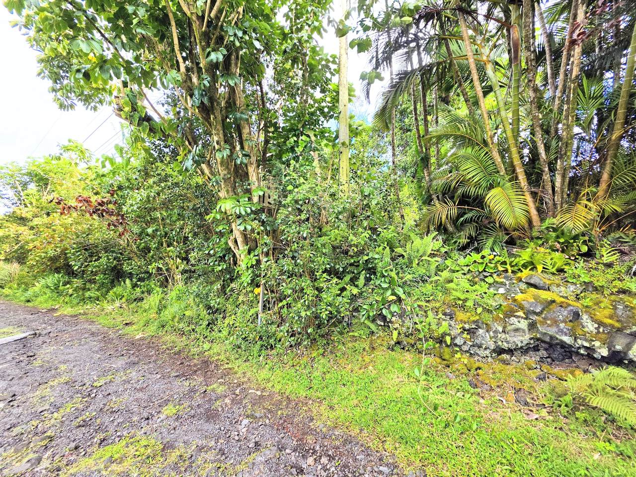  Aloha Rd - Photo 1