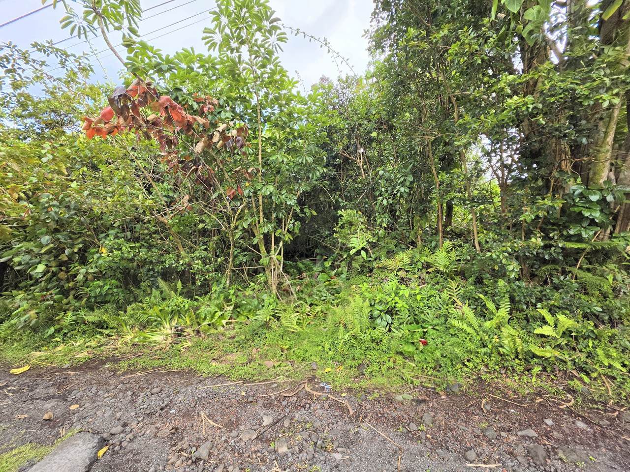 https://bt-photos.global.ssl.fastly.net/hawaii/1280_boomver_2_730610-1.jpg