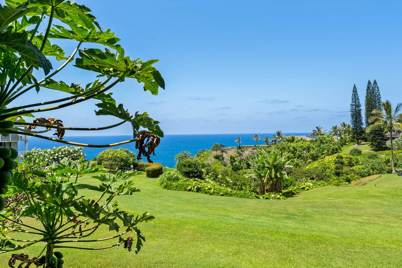 https://bt-photos.global.ssl.fastly.net/hawaii/1280_boomver_2_731094-1.jpg