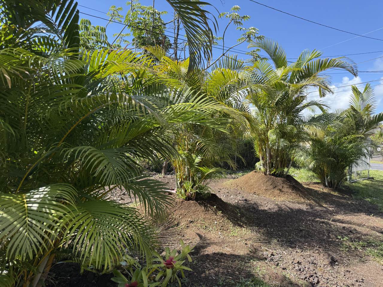 https://bt-photos.global.ssl.fastly.net/hawaii/1280_boomver_1_731107-11.jpg