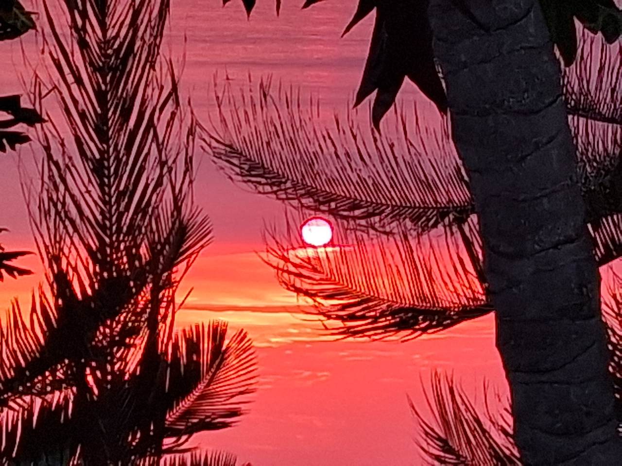 https://bt-photos.global.ssl.fastly.net/hawaii/1280_boomver_2_731349-1.jpg