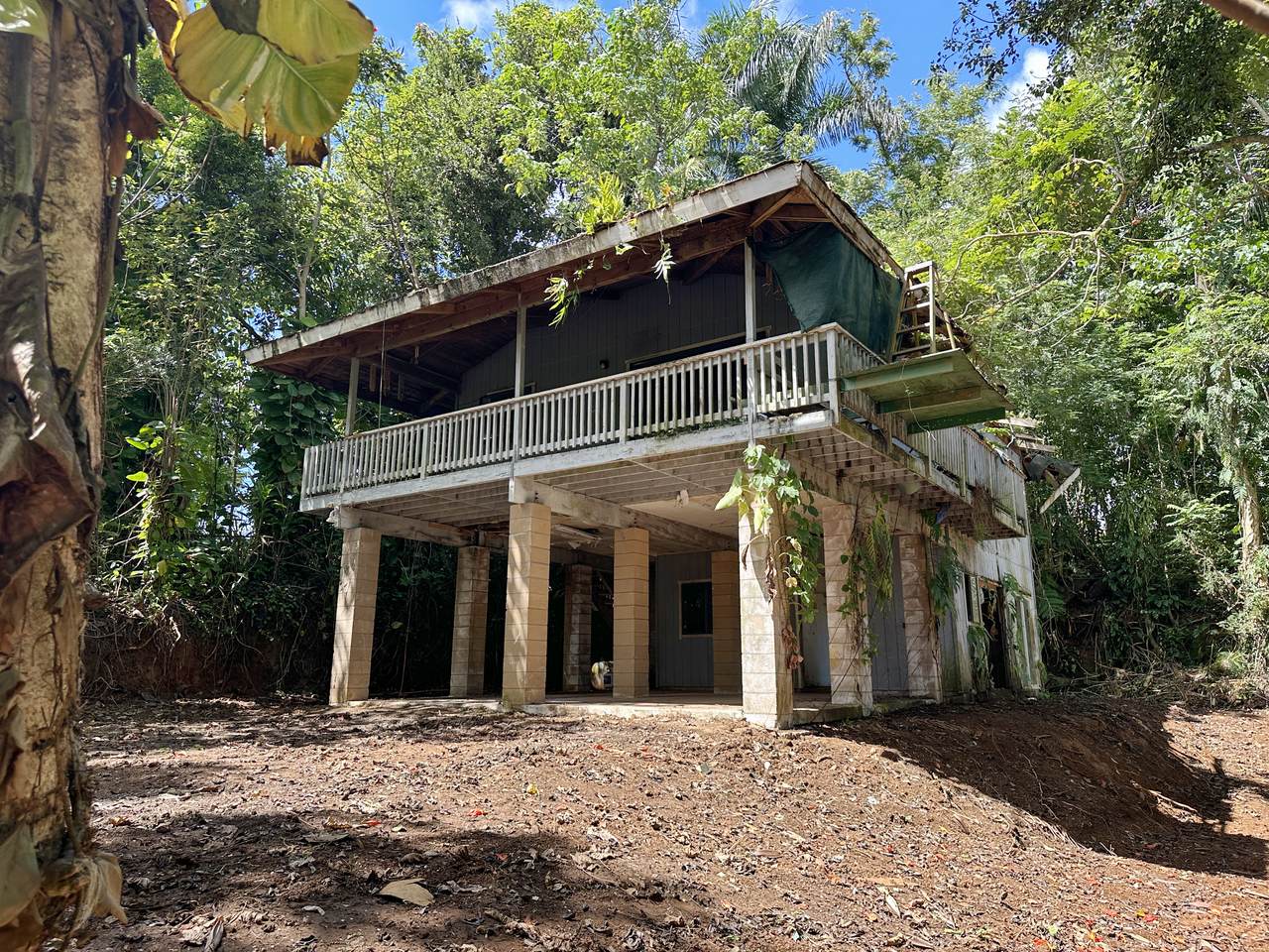6335-C Opaekaa Rd - Photo 1