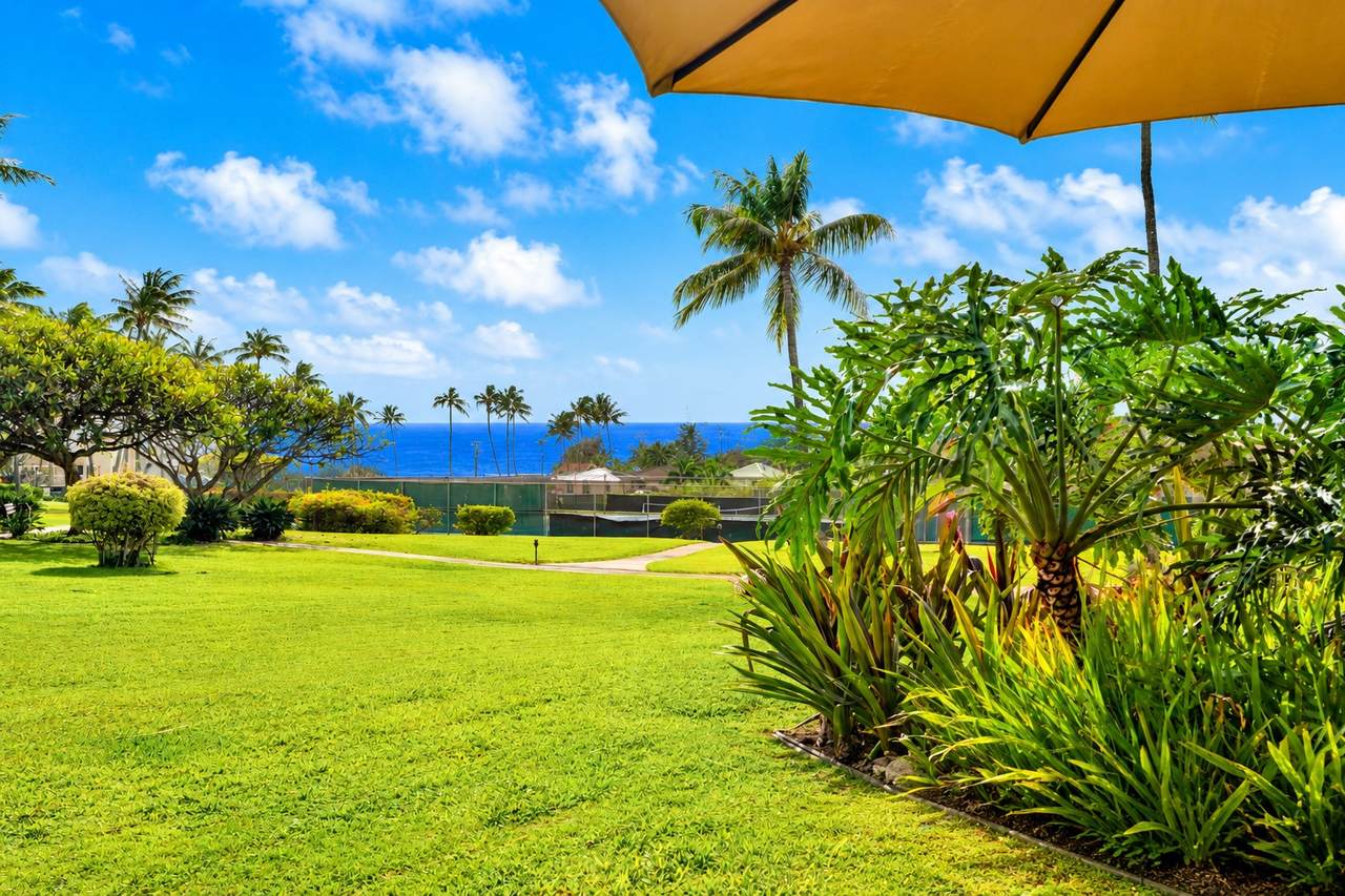 1901 Poipu Rd - Photo 1