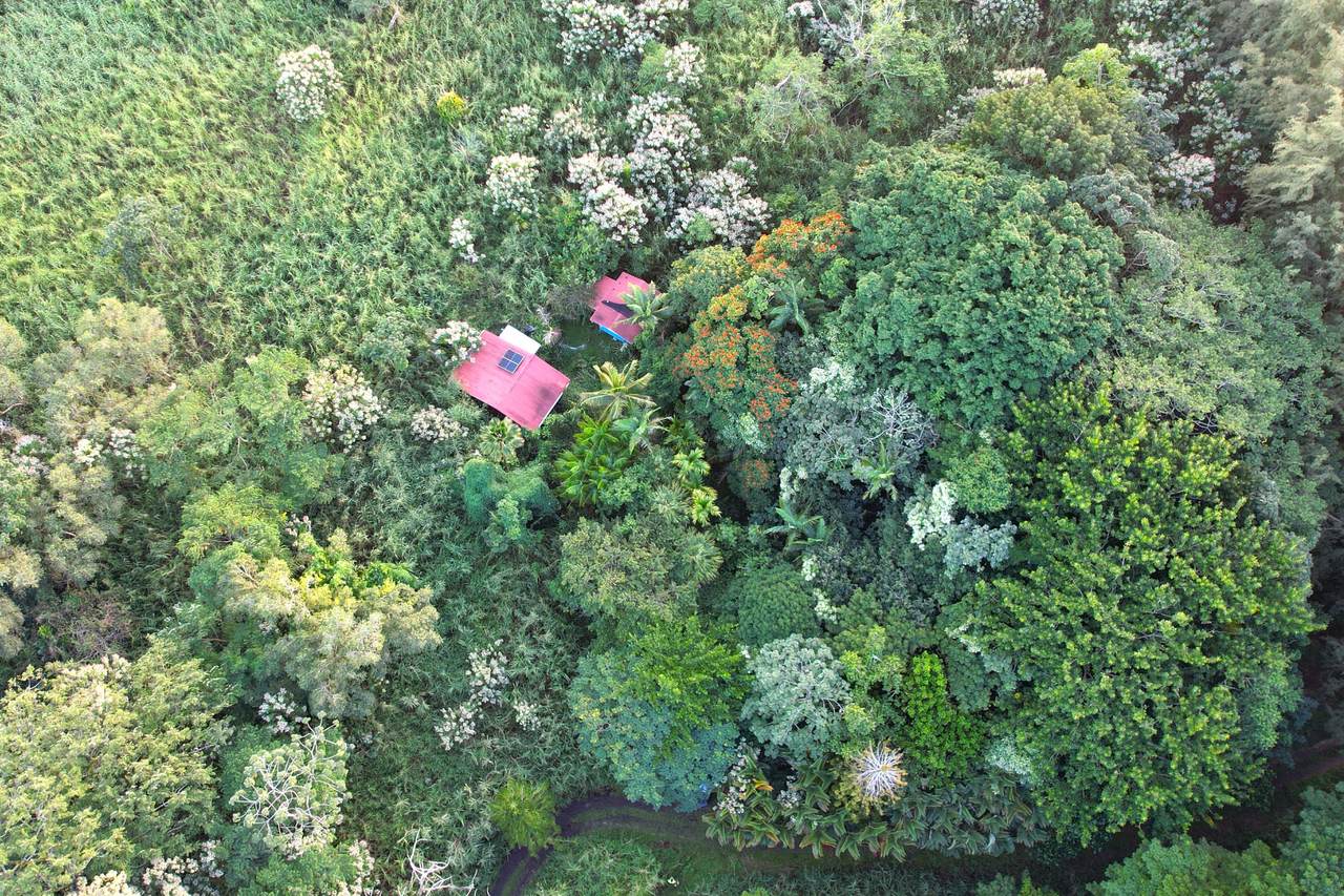 13-527-A Kamaili Rd - Photo 1