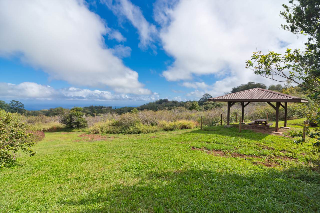 44-3342 Kula Kahiko Rd - Photo 1