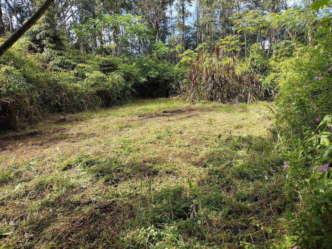 Lanai Rd - Photo 1