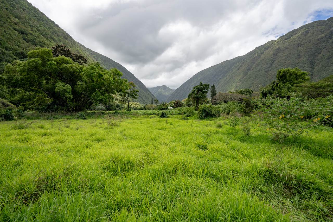 Waipio Valley Rd - Photo 1