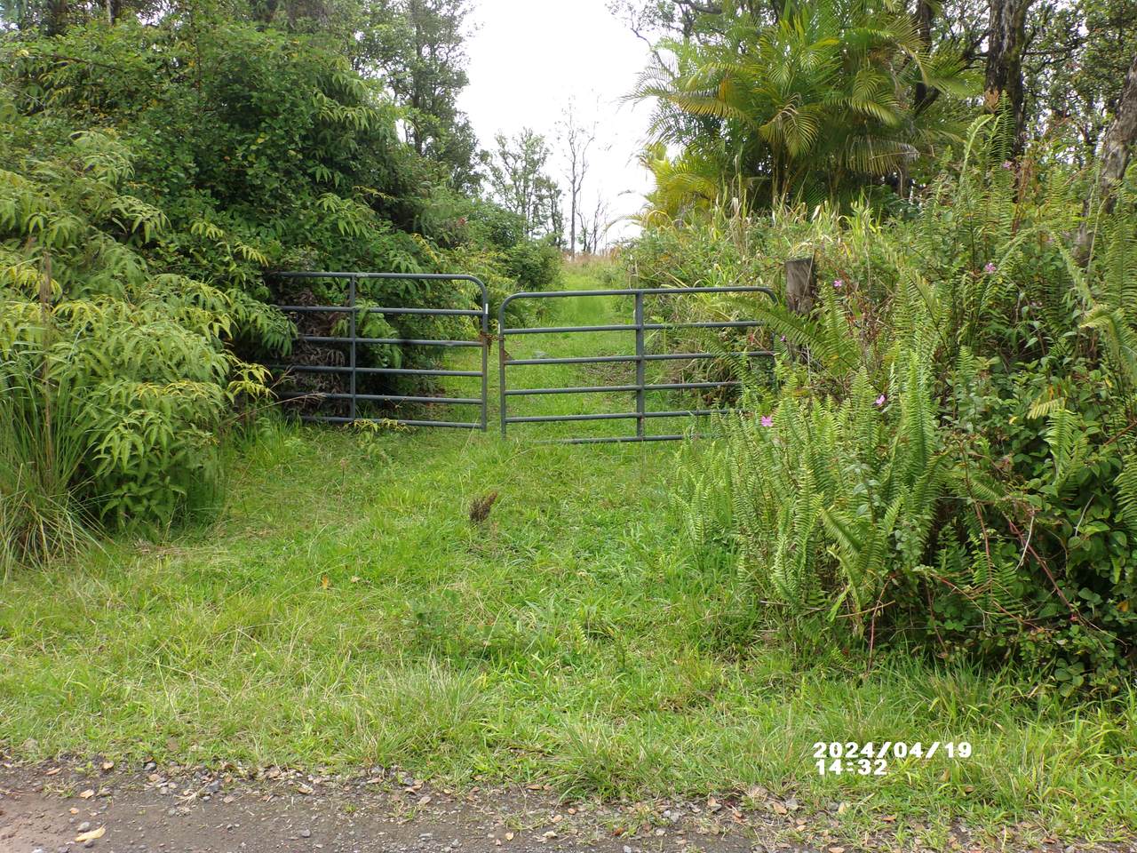 11-2202 Omeka Rd - Photo 1
