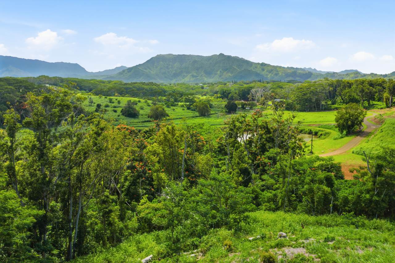 https://bt-photos.global.ssl.fastly.net/hawaii/1280_boomver_2_729909-3.jpg