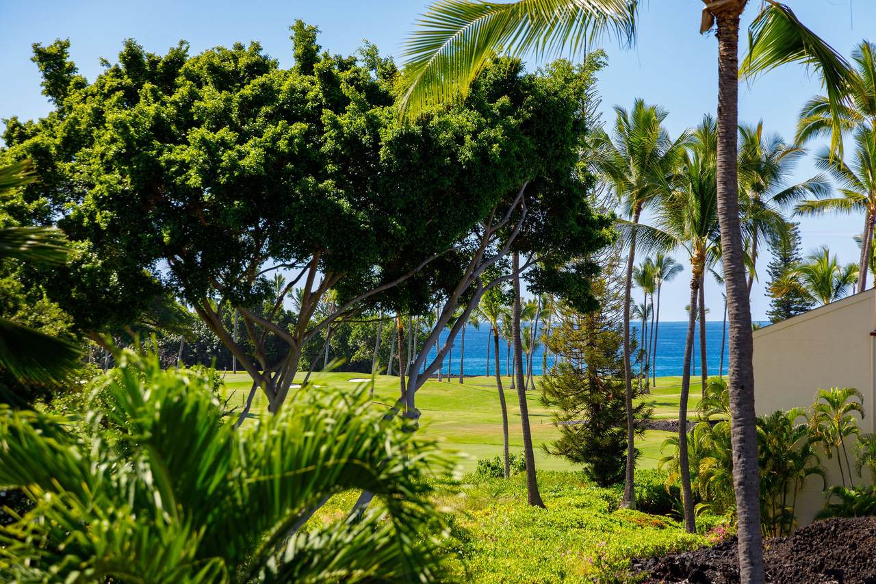 https://bt-photos.global.ssl.fastly.net/hawaii/1280_boomver_4_715118-2.jpg